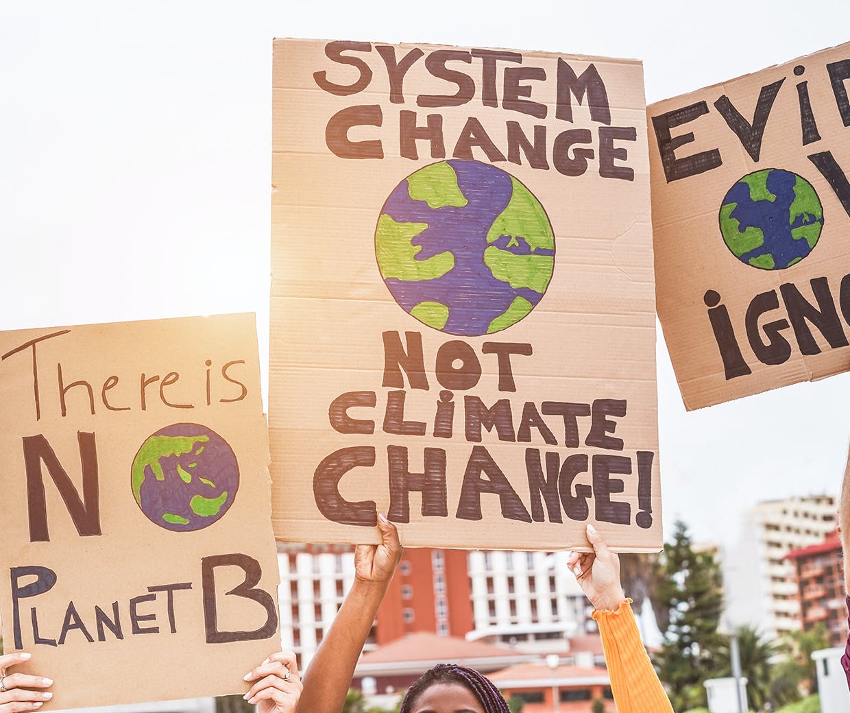 Activism-featured-image Activism-featured-image