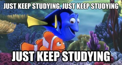 study study