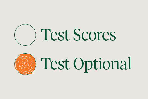 test_optional_480x320-1