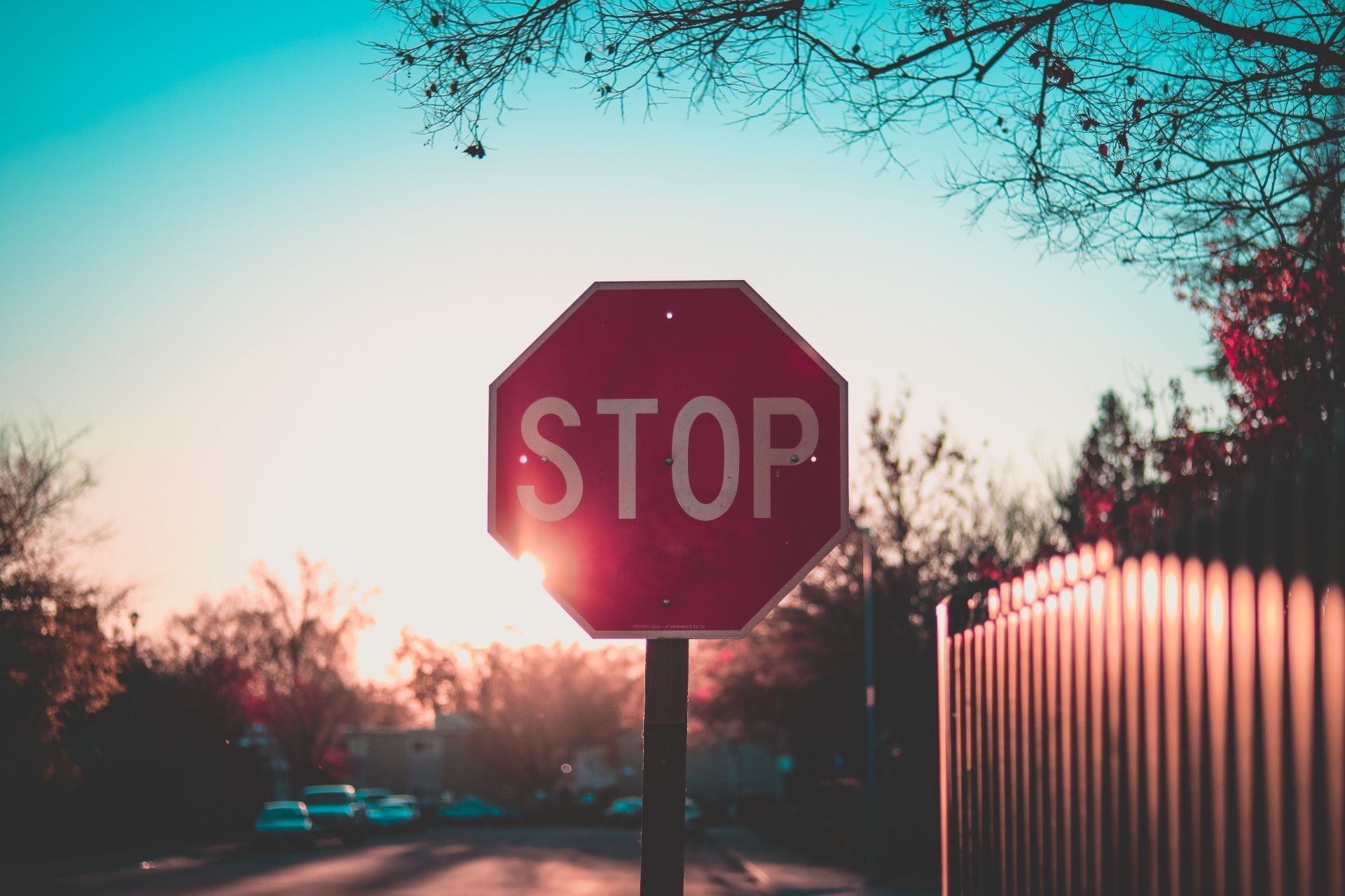 anwaar-ali-Aax_R3pUyzs-unsplash Stop college