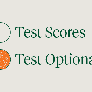 test_optional_480x320-1